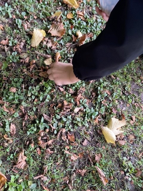 Müüa värsked koduhoovi metsapähklid otse Ediselt! 🌰✨
Korjasime oma trahteri hoovist koos lastega värskeid ja ilusaid kodumaiseid metsapähkleid. Pähklid on kasvanud oma koduaias puhtas keskkonnas ja korjatud hoolikalt käsitööna.
Tegemist on täiesti naturaalse ja värske selle sügise saagiga, mis sobib suurepäraselt kohe söömiseks või talveks kuivatamiseks.
 Hind: 500 g - 4 € 

Kuna kogus on piiratud, kirjuta soovi korral otse postkasti! 📩